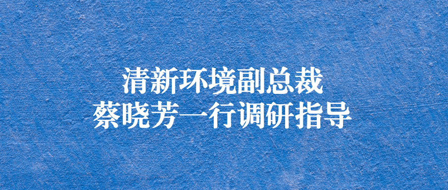 清新環(huán)境副總裁蔡曉芳一行蒞臨天晟源環(huán)保調研指導