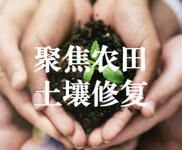 聚焦農(nóng)田土壤修復，保障糧食產(chǎn)品安全 ——踔厲奮發(fā)、篤行不怠，以奮斗之姿獻禮黨的二十大