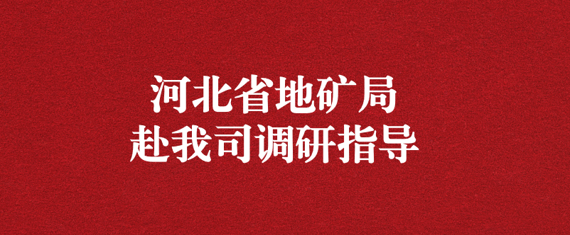 河北省地礦局黨組書記盧瑞卿赴天晟源環(huán)保調研指導