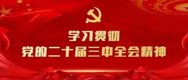 學習會議精神，貫徹落實工作 --川勘天晟源公司黨支部召開主題黨員大會
